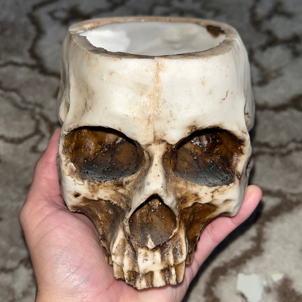 Skull Planter. Goth Planter. Skull Bowl. Skull Decor. Halloween Decor.